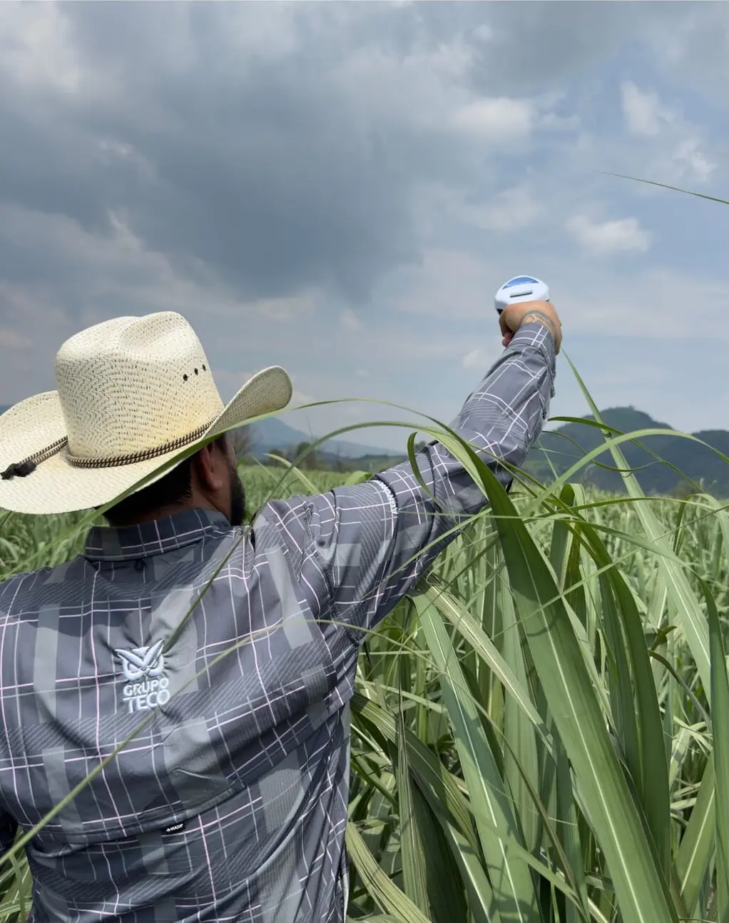 Técnico realizando mediciones con sensor GreenSeeker en un cultivo